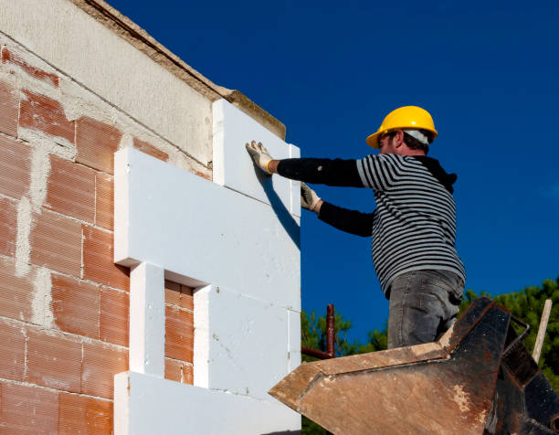 Best Types of Insulation in Harlem Heights, FL