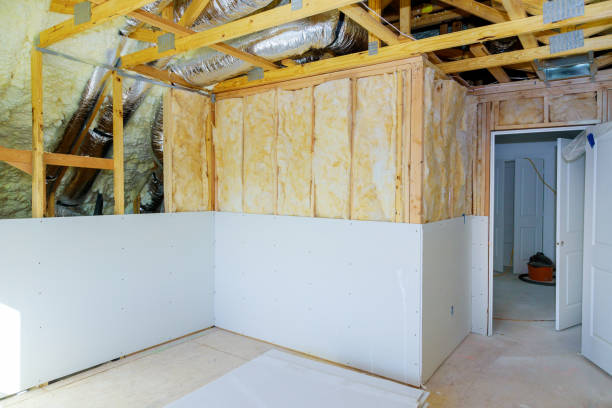 Best Insulation Maintenance and Repair in Harlem Heights, FL