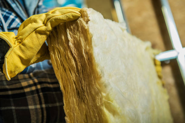 Best Commercial Insulation in Harlem Heights, FL