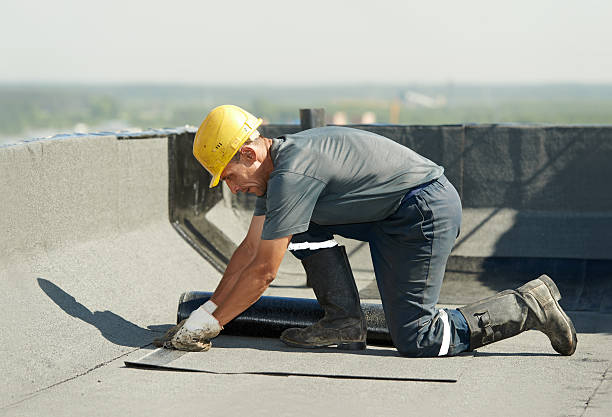 Best Residential Insulation in Harlem Heights, FL